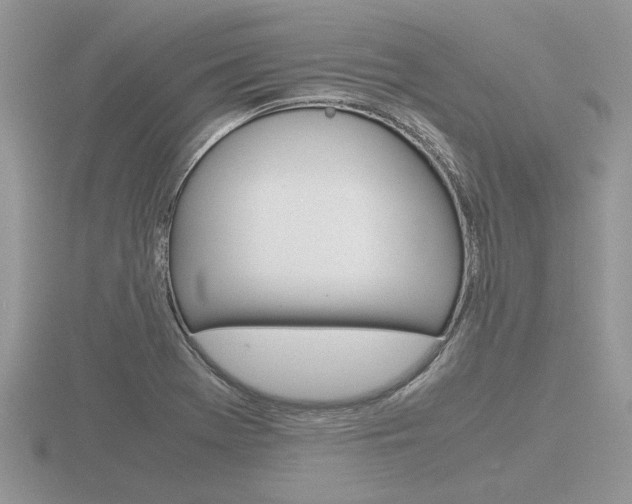 X0000116601369200912110931