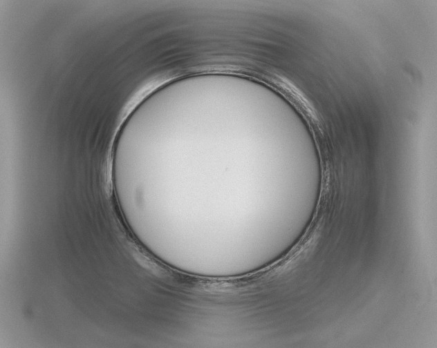 X0000116601370200912110931