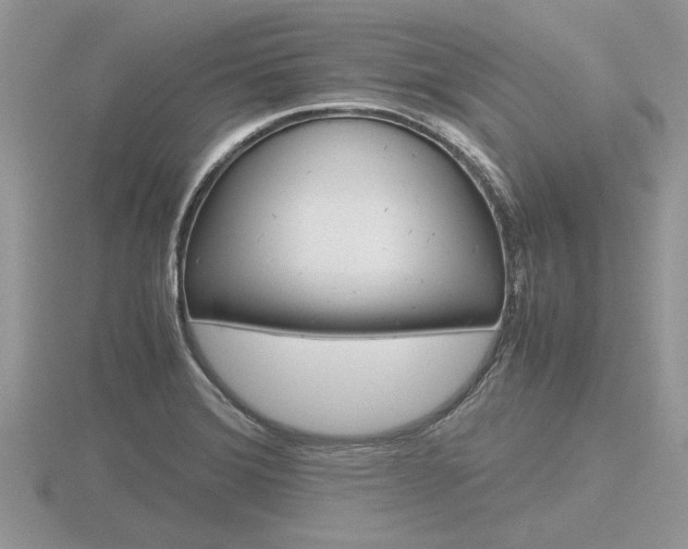 X0000116601372200912110931