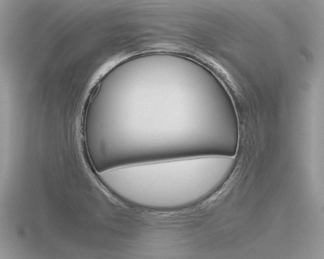 X0000116601373200912110931