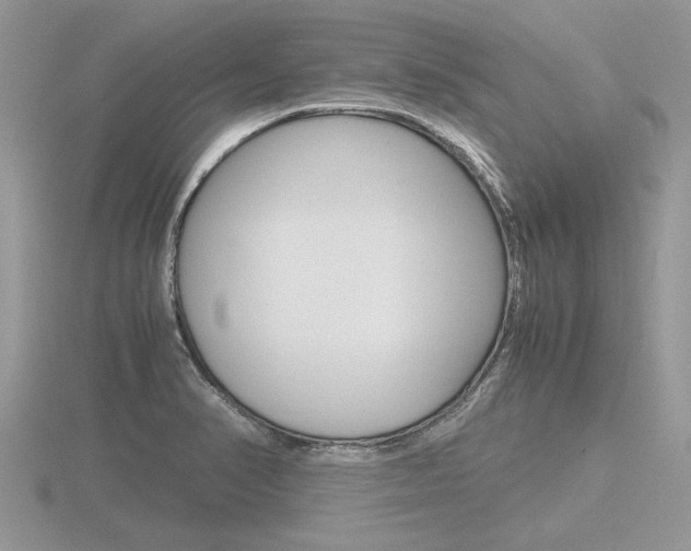 X0000116601374200912110931