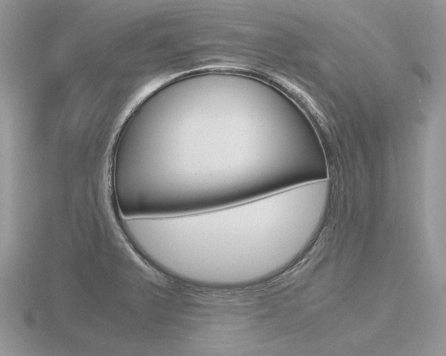 X0000116601375200912110931
