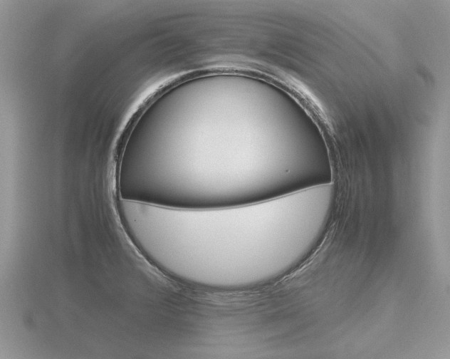 X0000116601376200912110931
