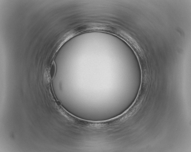 X0000116601377200912110930
