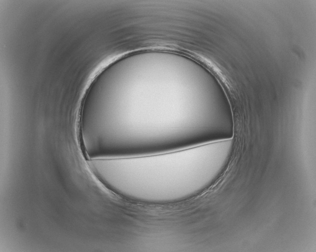 X0000116601379200912110930