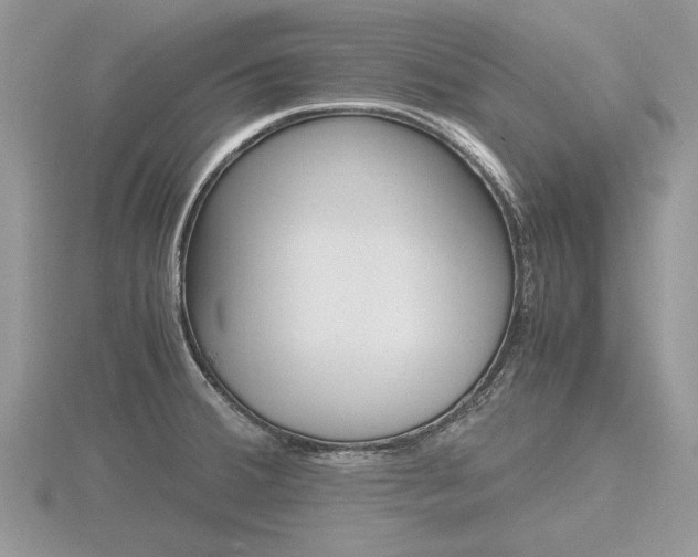 X0000116601380200912110930