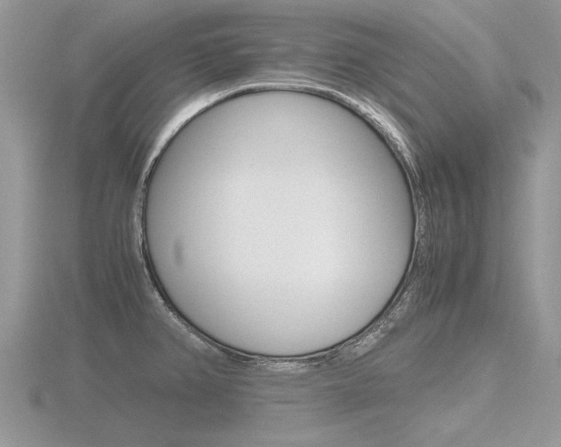 X0000116601382200912110930