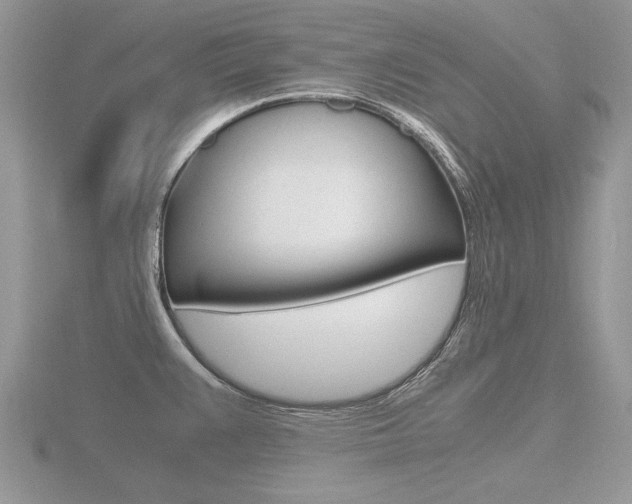 X0000116601383200912110930