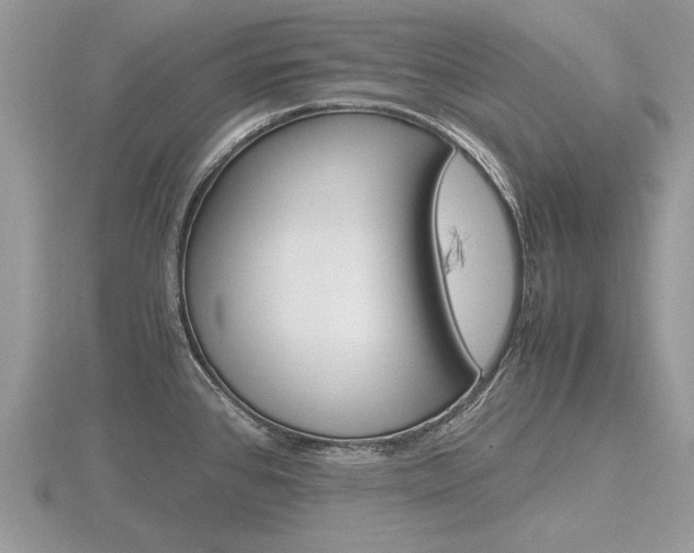 X0000116601384200912110930