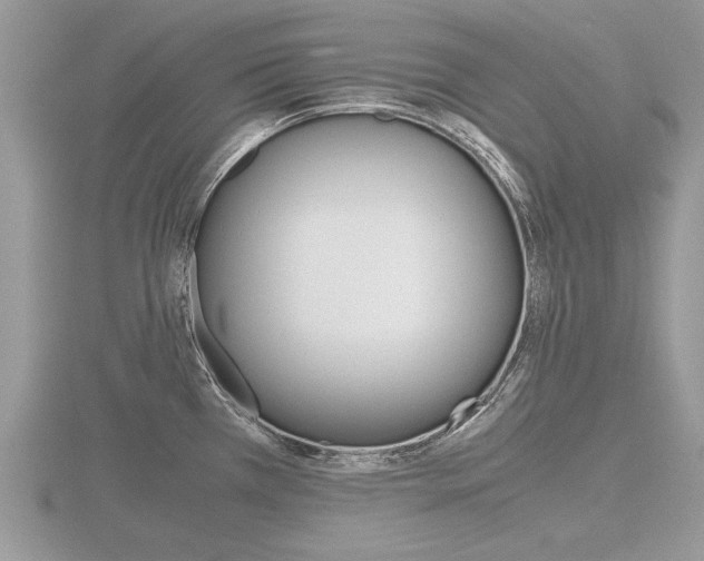 X0000116601385200912110930