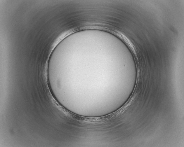 X0000116601386200912110930