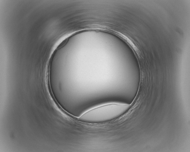 X0000116601387200912110930