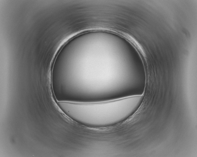 X0000116601388200912110930