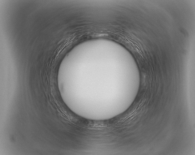 X0000116601393200912110930