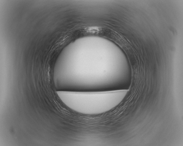 X0000116601394200912110930