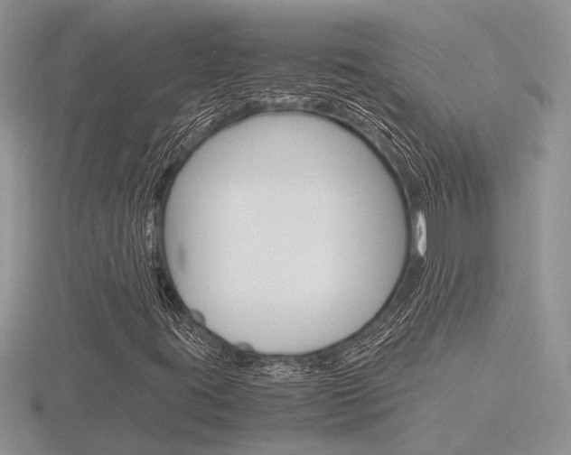 X0000116601395200912110930