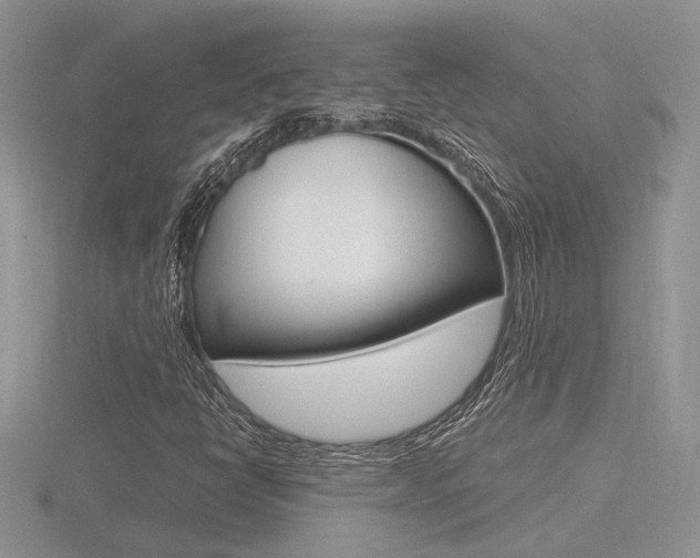 X0000116601398200912110930