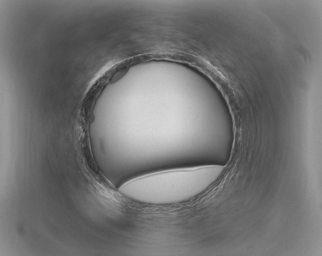 X0000116601400200912110930