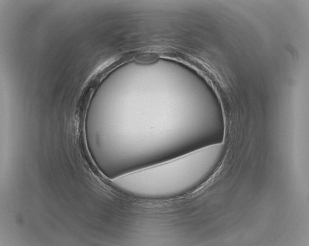 X0000116601402200912110930
