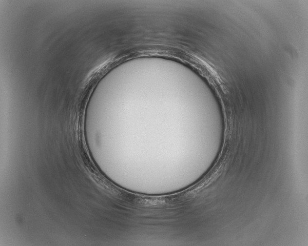 X0000116601403200912110930