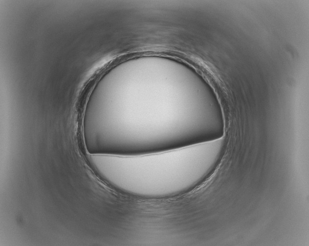 X0000116601406200912110930