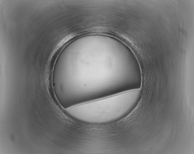 X0000116601410200912110930