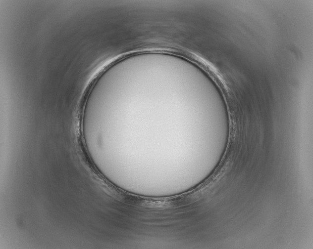 X0000116601415200912110930