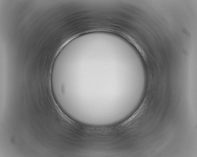 X0000116601417200912110930