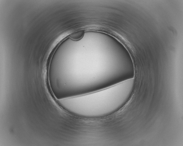 X0000116601418200912110930