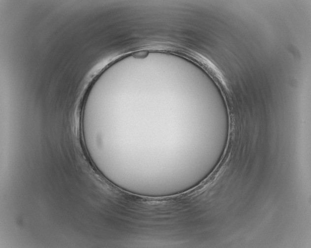 X0000116601419200912110930