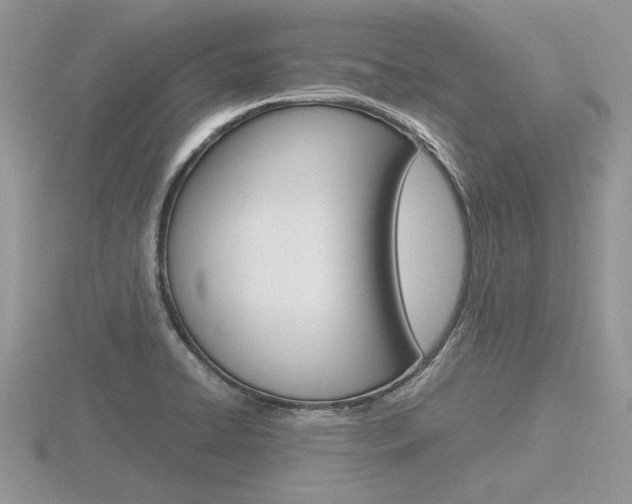 X0000116601422200912110930