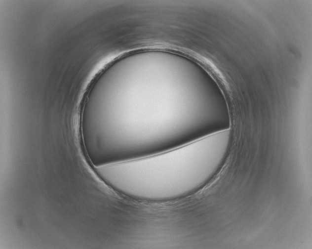 X0000116601424200912110930