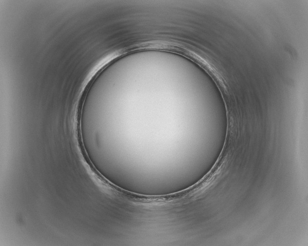 X0000116601426200912110930