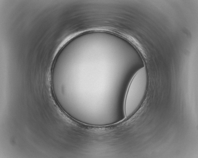 X0000116601428200912110930