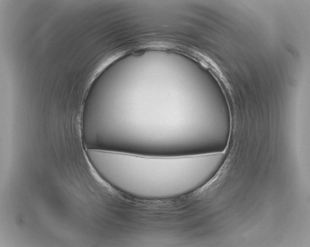 X0000116601433200912110930