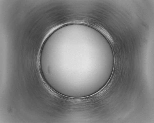 X0000116601436200912110930