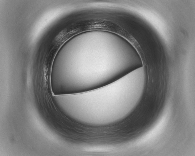 X0000116601438200912110930