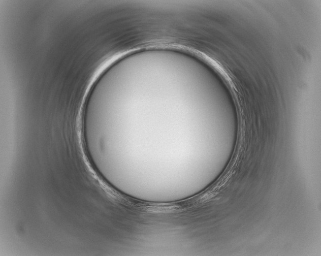 X0000116601440200912110930