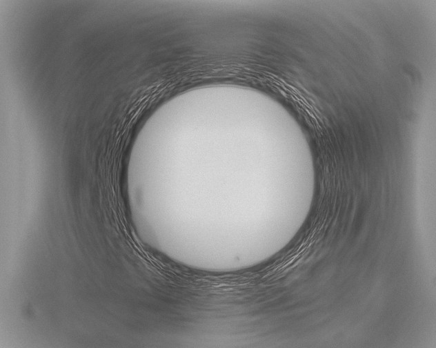 X0000116601441200912110930