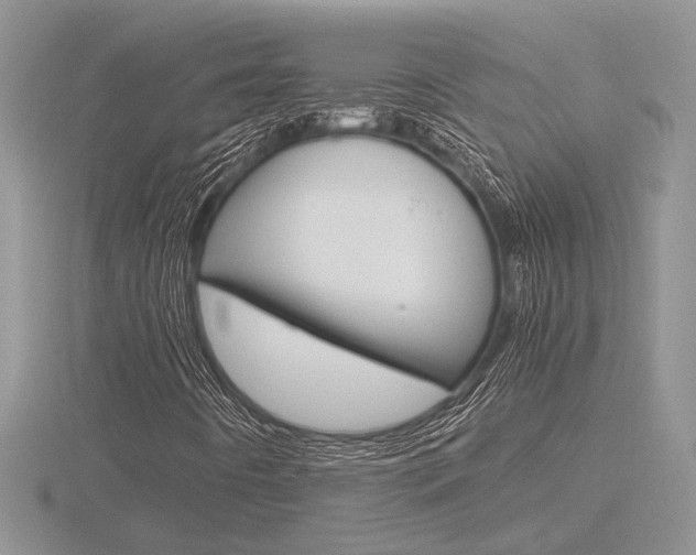 X0000116601442200912110930