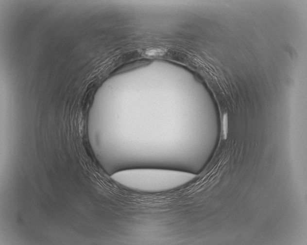 X0000116601443200912110930