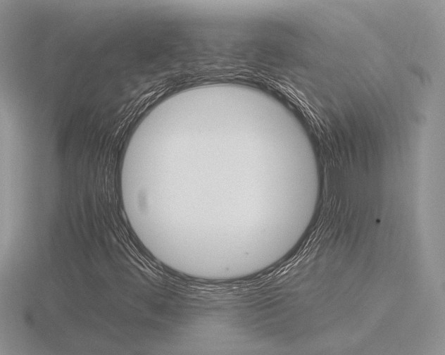 X0000116601444200912110930