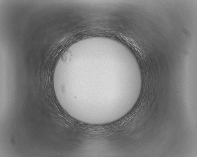 X0000116601445200912110930