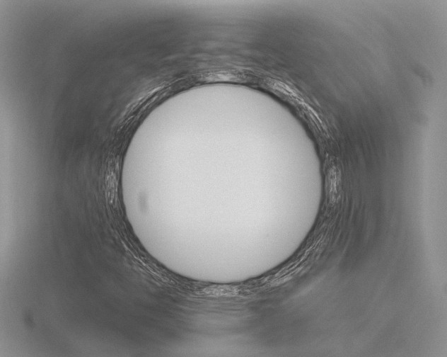 X0000116601446200912110930