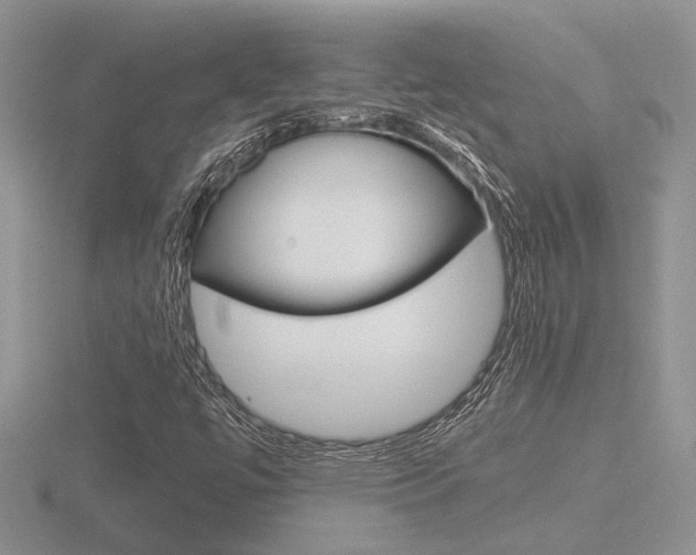 X0000116601447200912110930