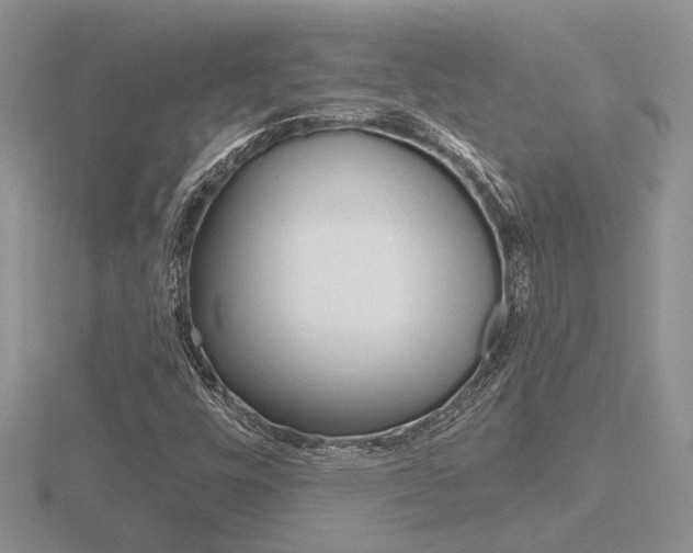 X0000116601448200912110930