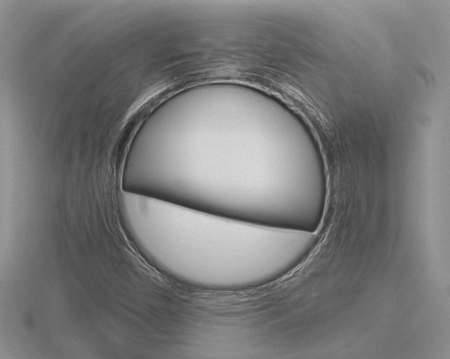 X0000116601450200912110930