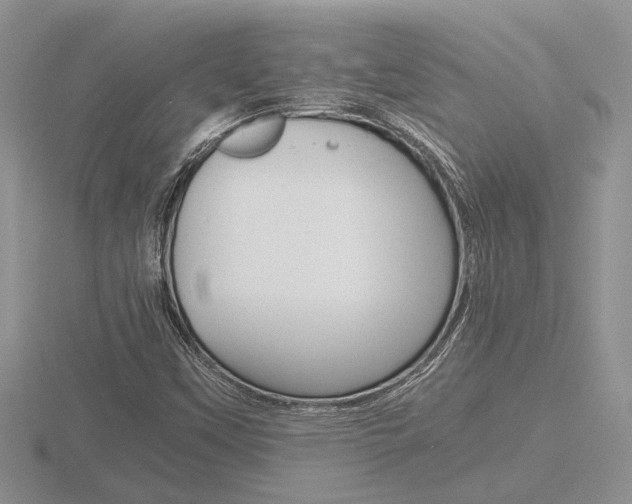 X0000116601451200912110930