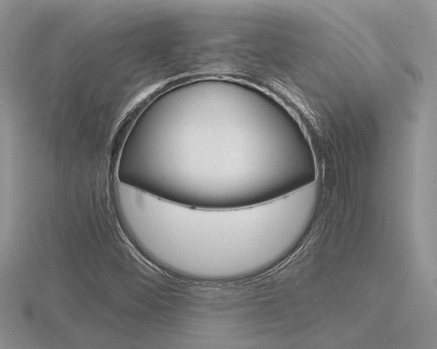 X0000116601452200912110930