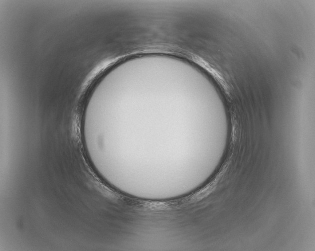 X0000116601454200912110930
